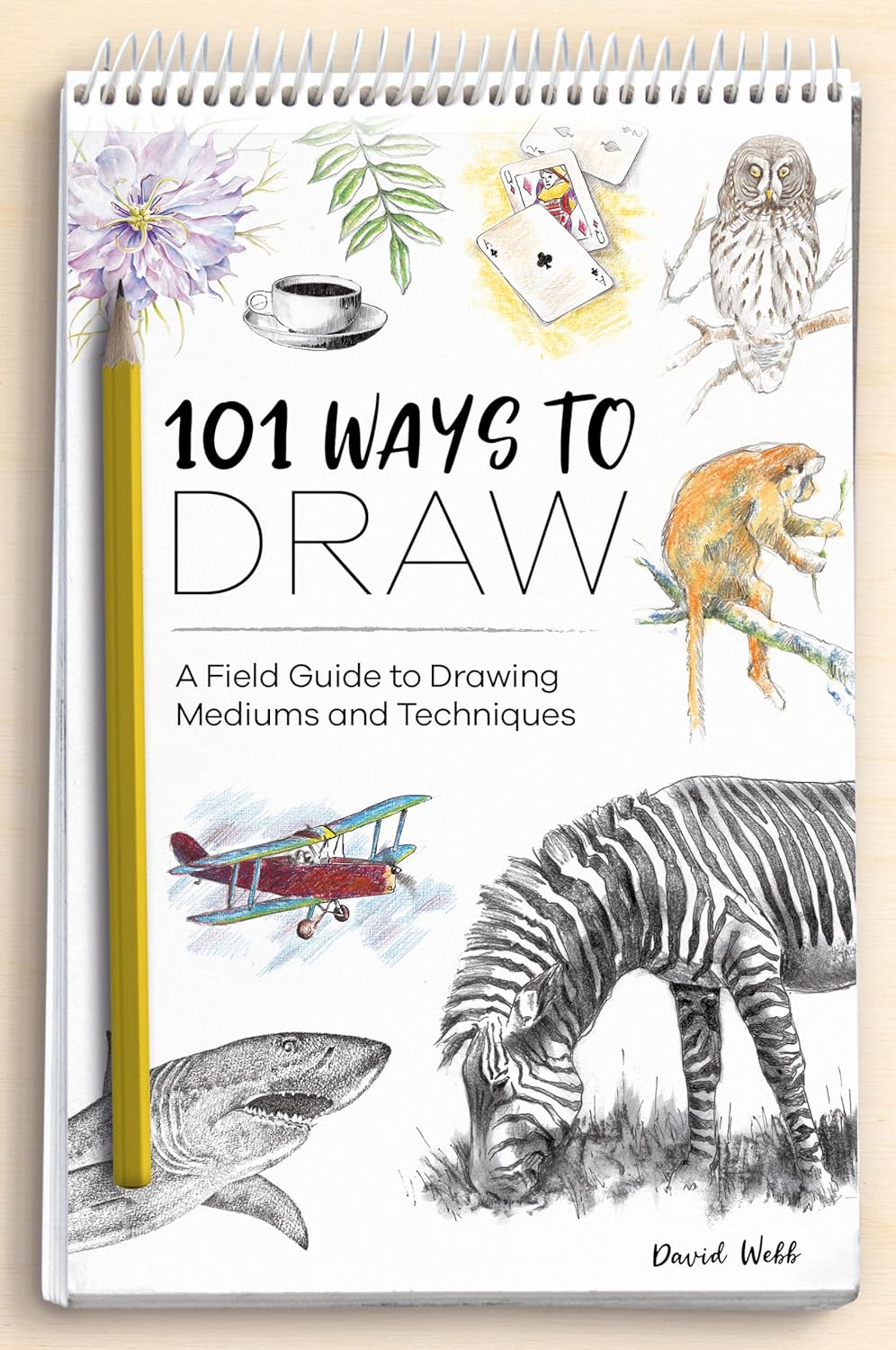 101 Ways to Draw: A Field Guide to Drawing Mediums and Techniques