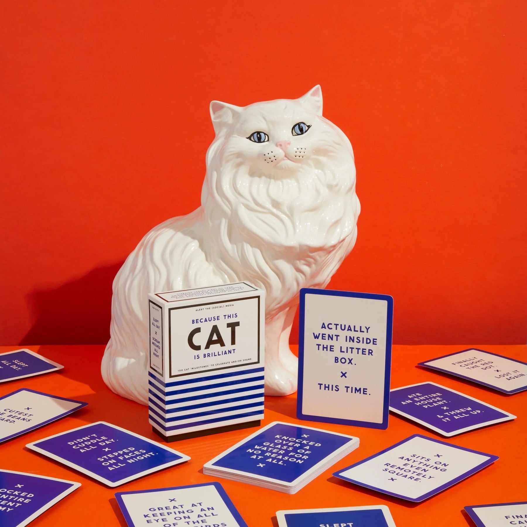 Because This Cat is Embarrassing Pet Shame/Praise Deck