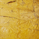 David Hammons Book