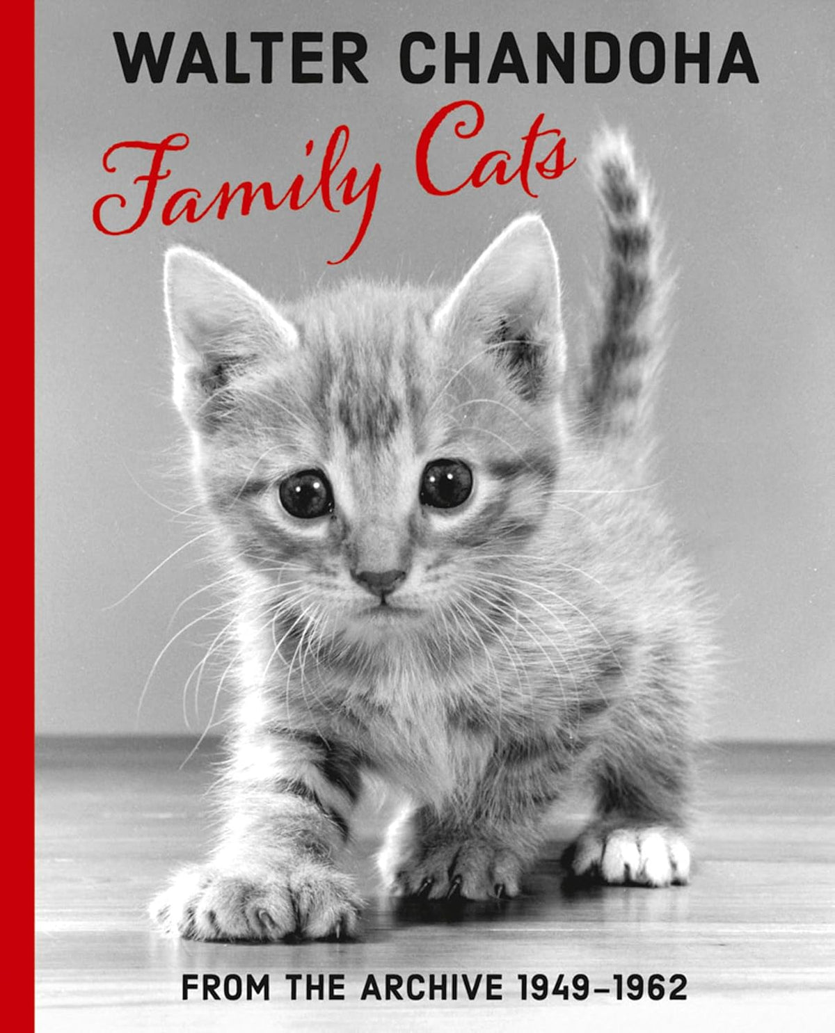 Walter Chandoha: Family Cats: From the Archive 1949–1968