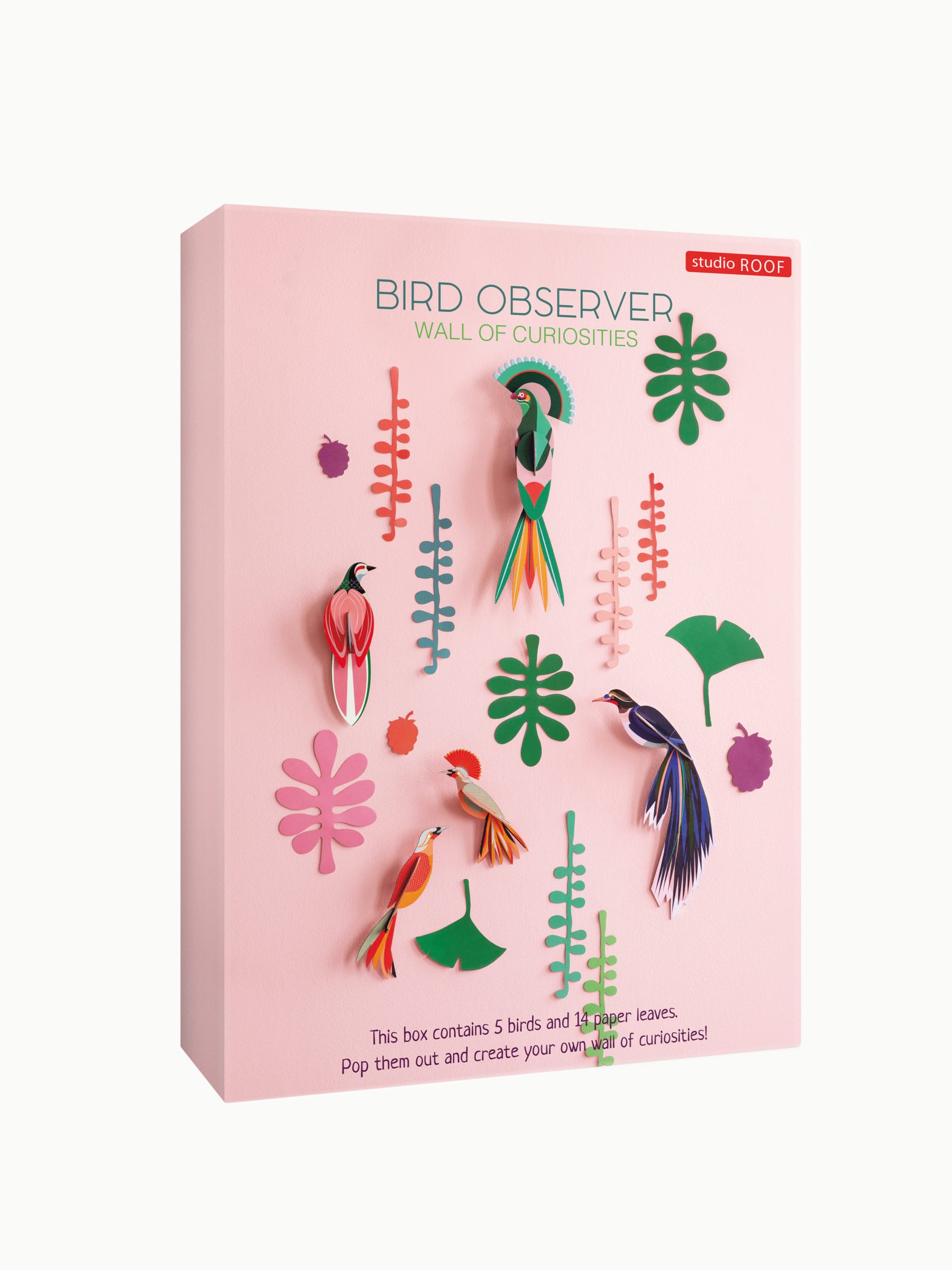 Bird Observer Wall of Curiosities