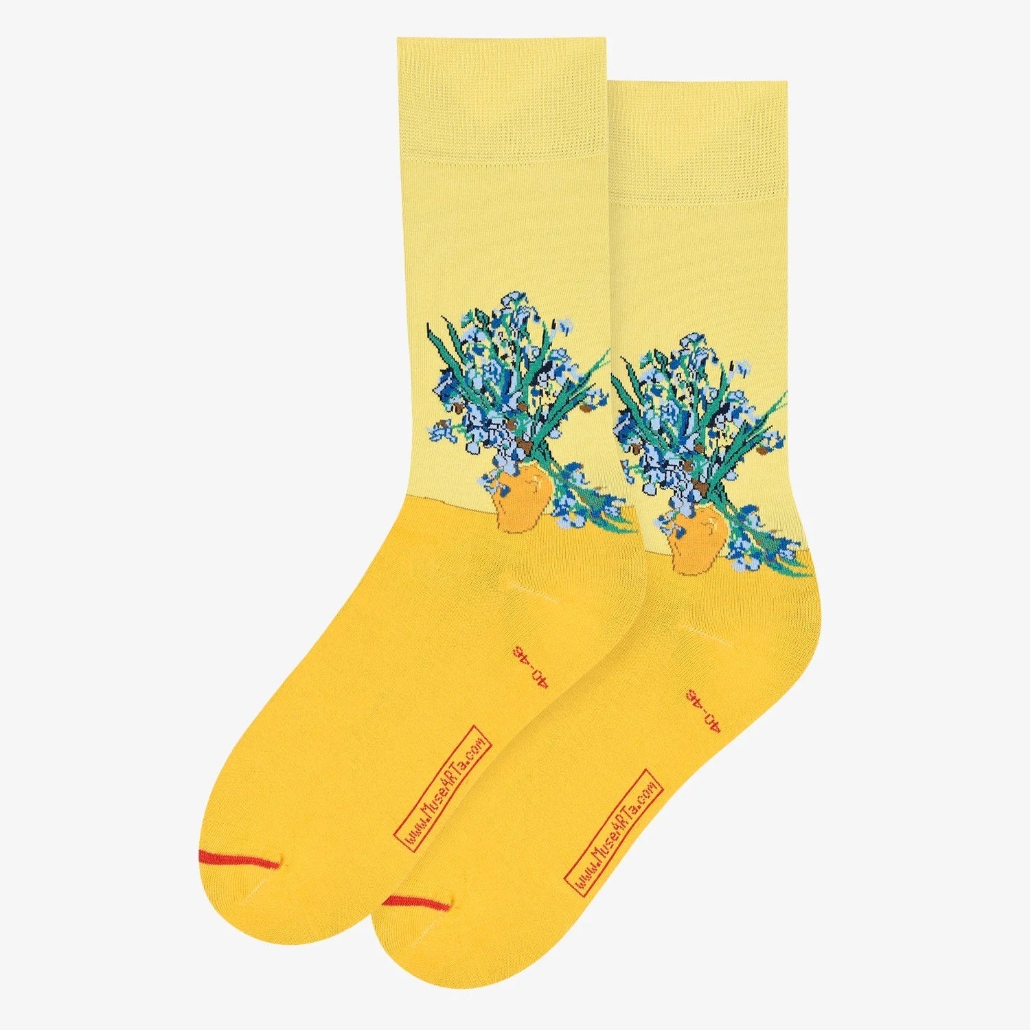 Van Gogh - Irises Art Sox