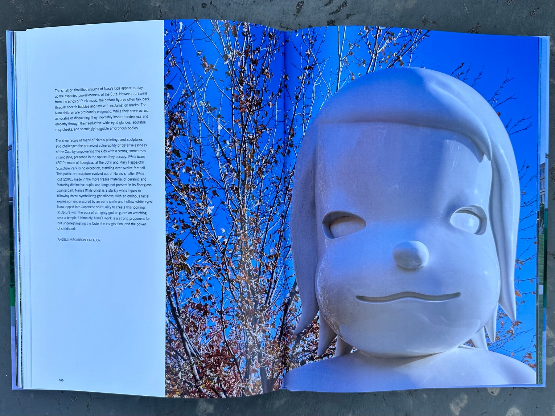 John and Mary Pappajohn Sculpture Park Book
