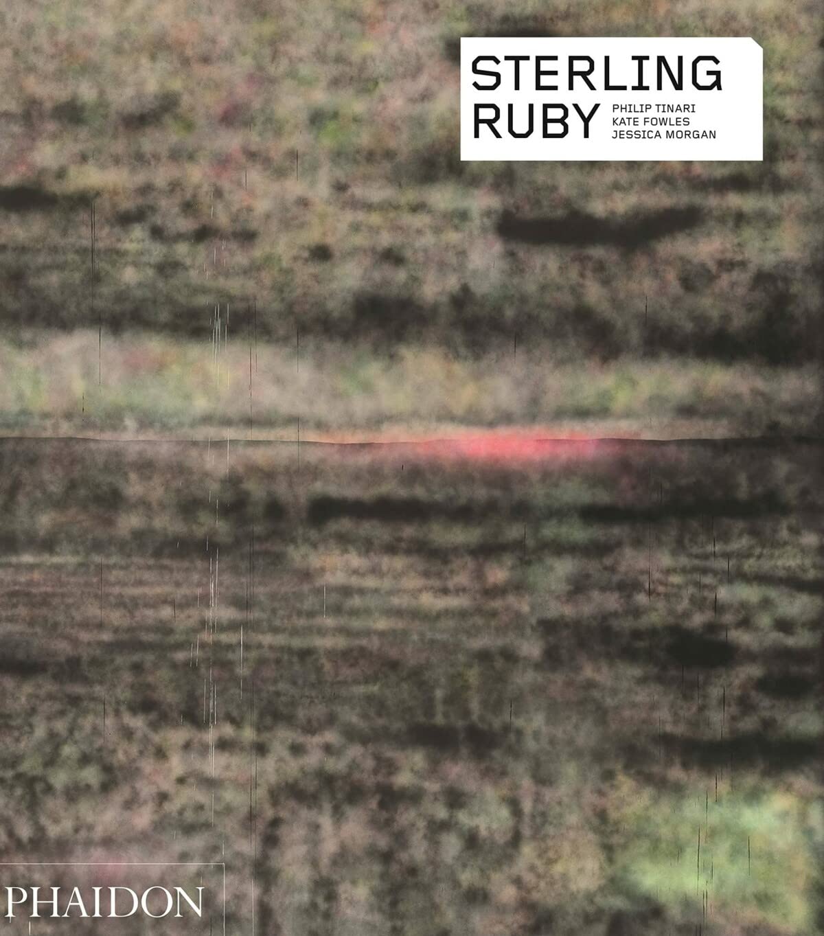 Sterling Ruby Book