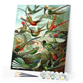 Paint by Numbers - All the Birds