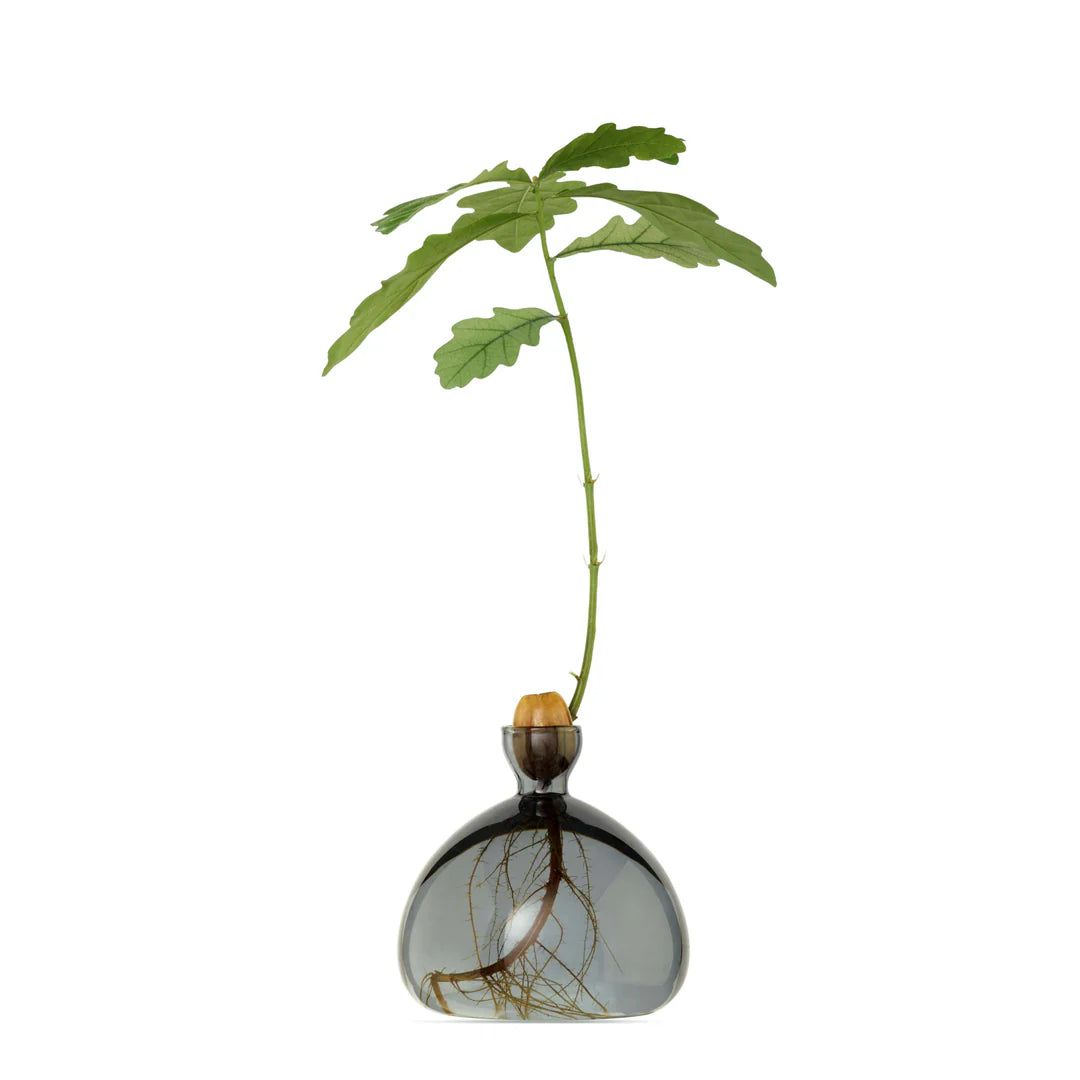 Avocado Vase