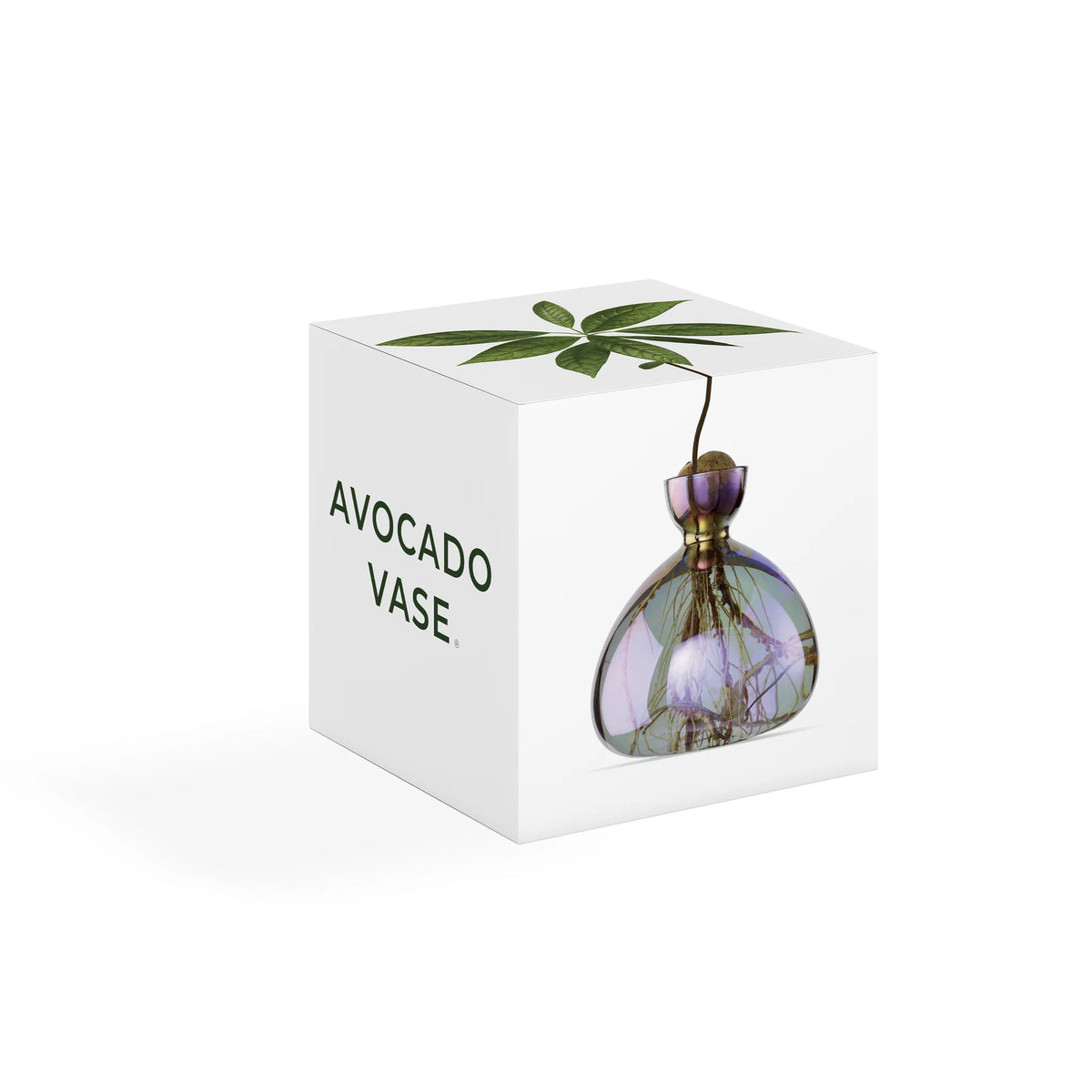 Avocado Vase Cosmic Vega