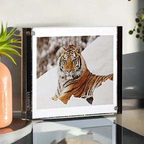 Color Edge Magnet Frame 5"x7"