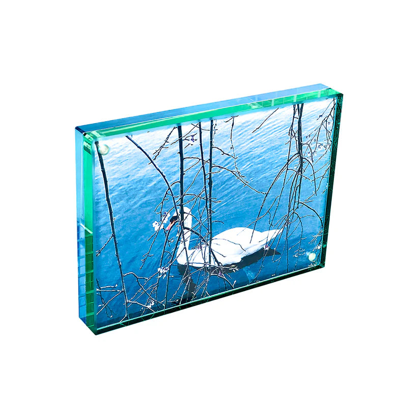 Color Edge Magnet Frame 5"x7"