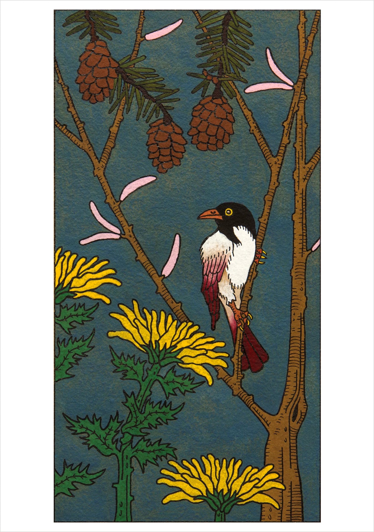 CJ Hurley: Birds Boxed Notecard Assortment