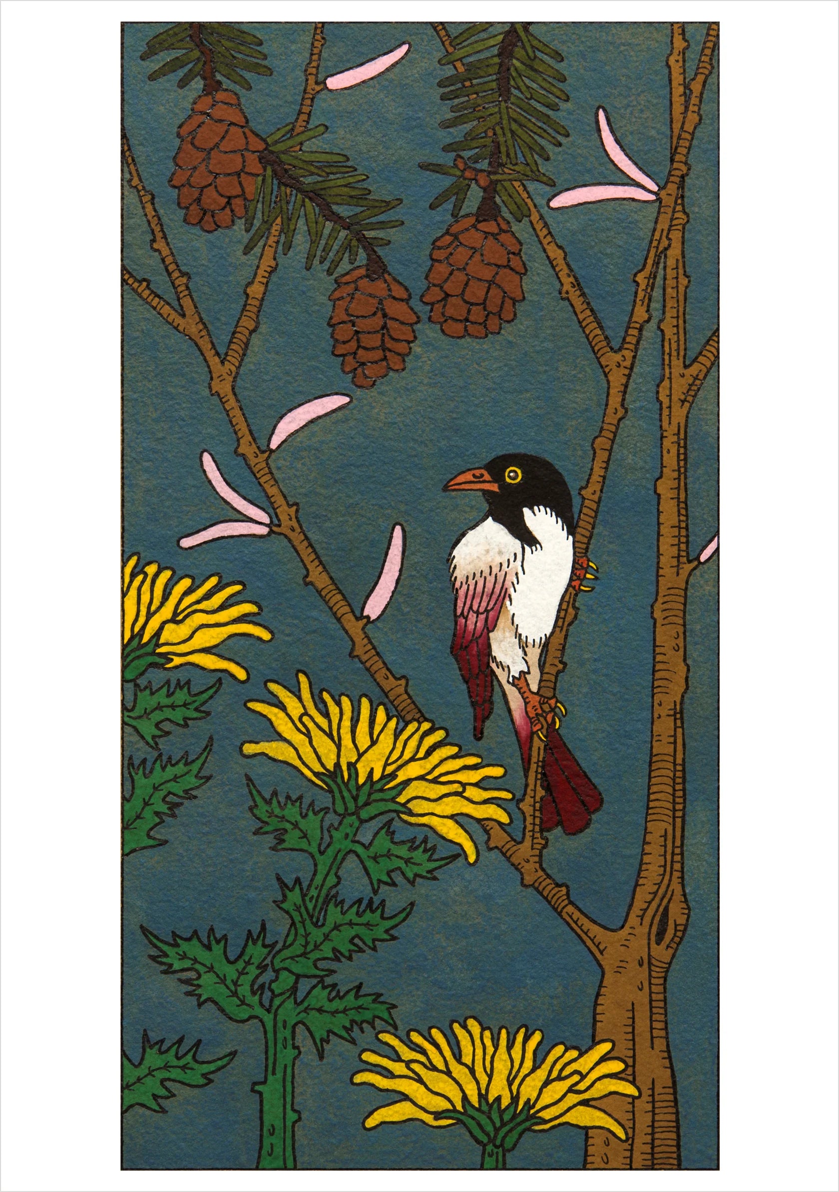 CJ Hurley: Birds Boxed Notecard Assortment