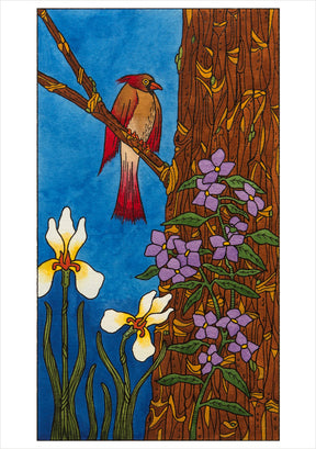 CJ Hurley: Birds Boxed Notecard Assortment