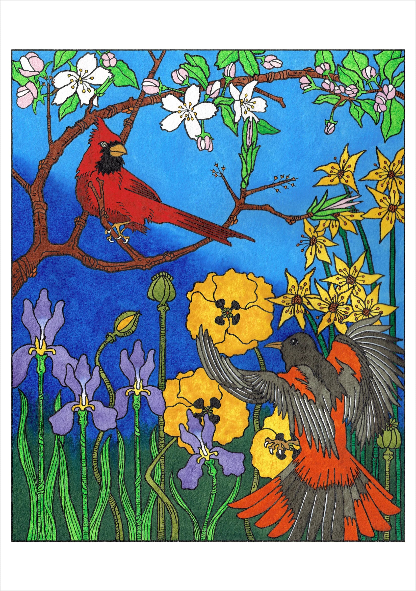 CJ Hurley: Birds Boxed Notecard Assortment