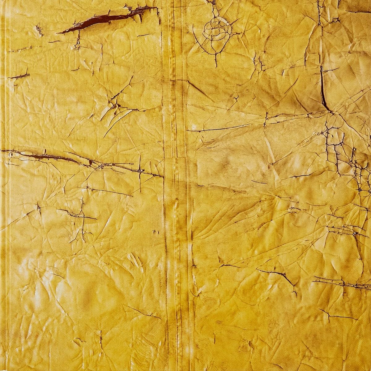 David Hammons Book