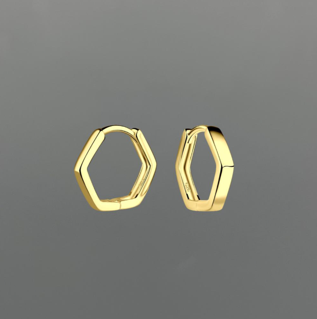 HG304 |  Gold Vermeil Geometric Clicker Huggie Earrings