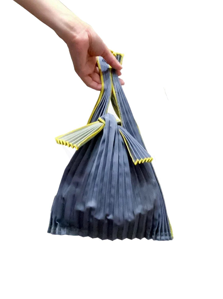 Pleated Bag (small)