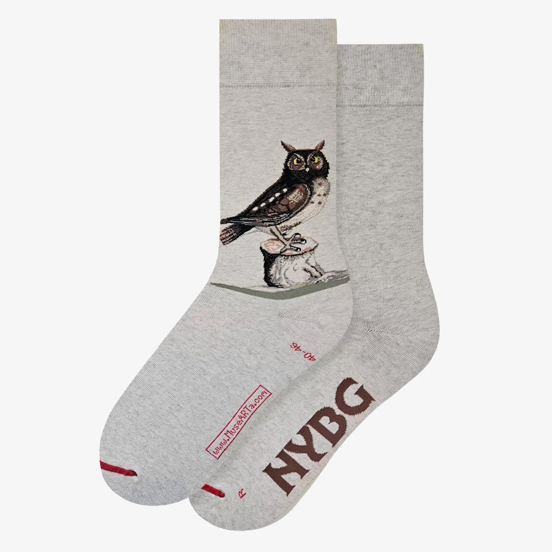 Catesby - The Little Owl