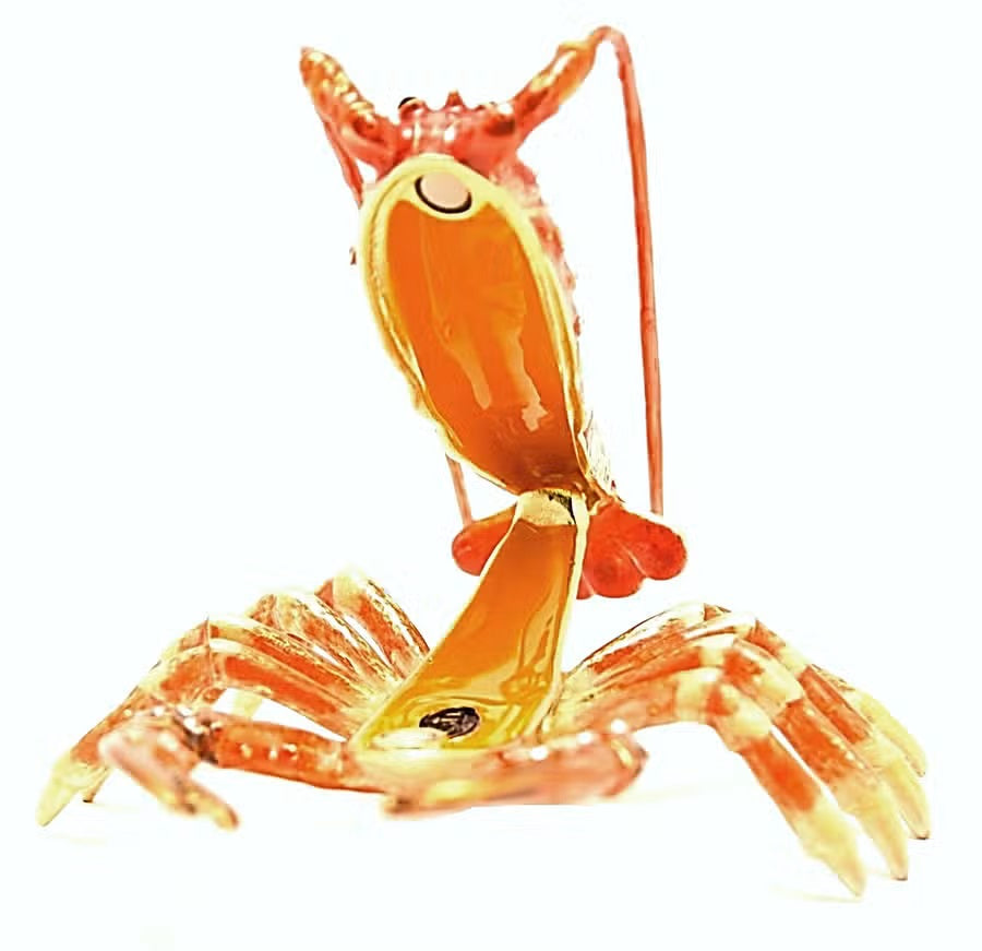 Lobster Trinket Box