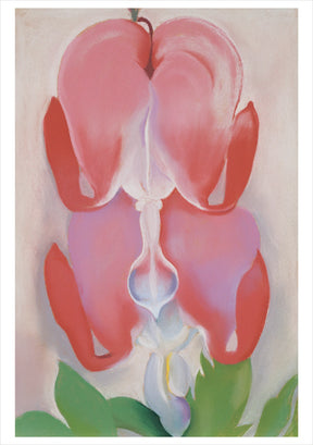 Georgia O'Keefe Boxed Notecard Assortment
