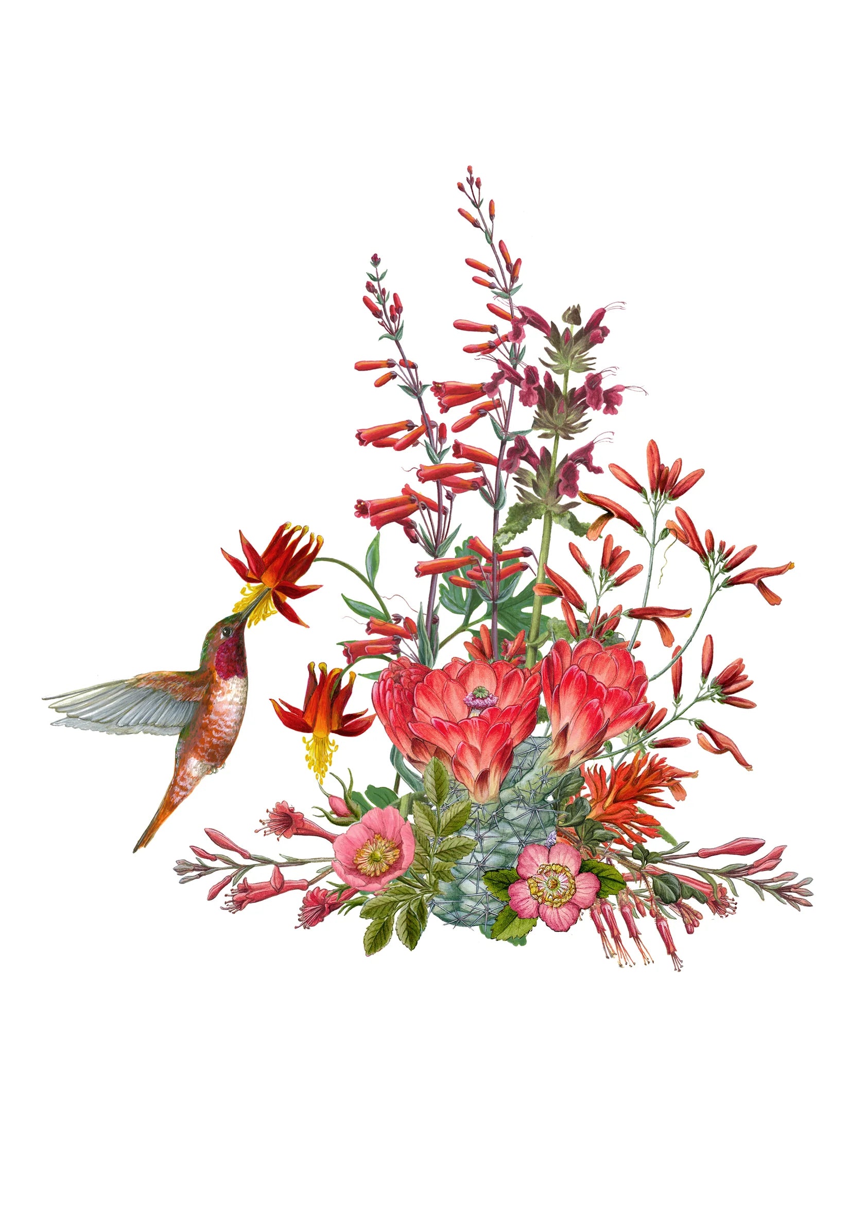 Erin E. Hunter: Pollinators Boxed Notecard Assortment