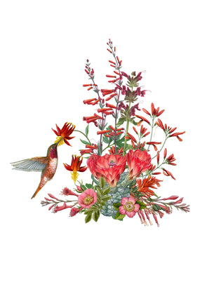 Erin E. Hunter: Pollinators Boxed Notecard Assortment
