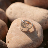 The Protector Ring