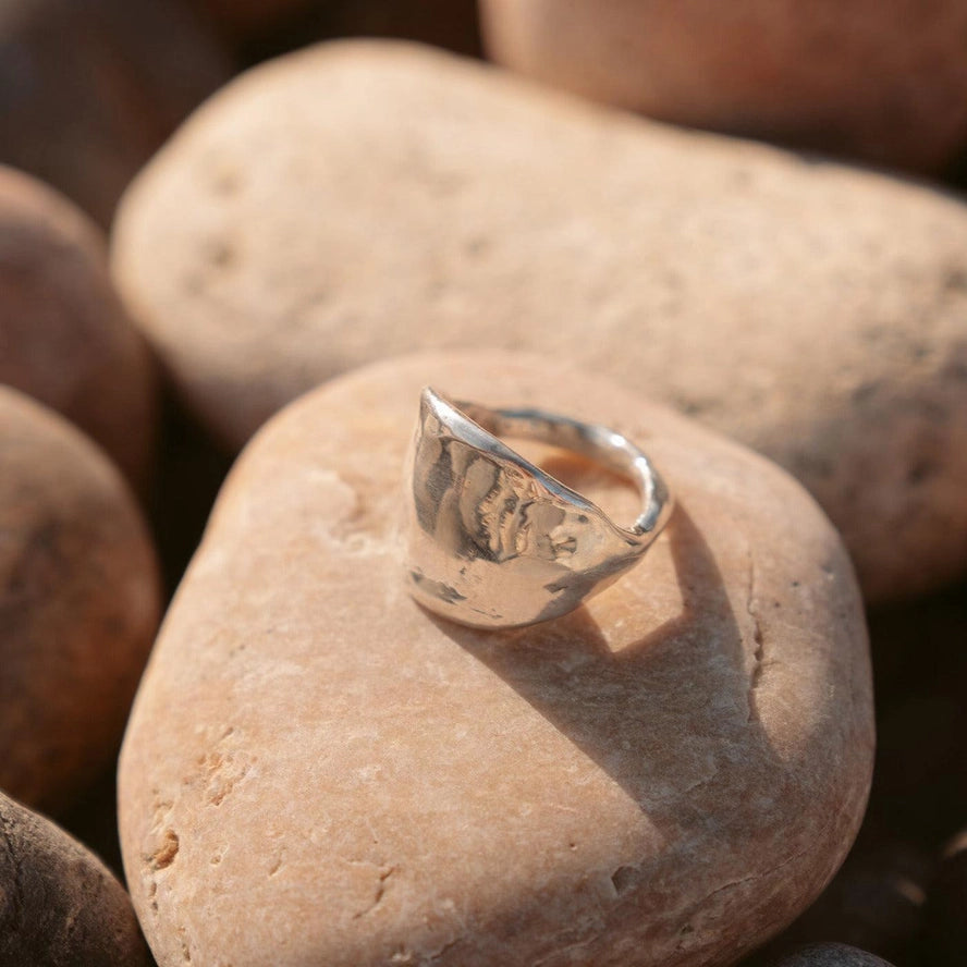 The Protector Ring