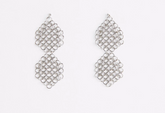 Pascale Lion Rosmary AR Earrings (silver finish)