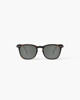 Sunglasses Reading - E