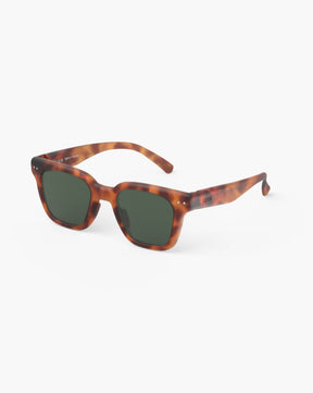 Sunglasses - Road - Havane