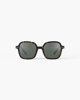 Sunglasses - Office - Tortoise