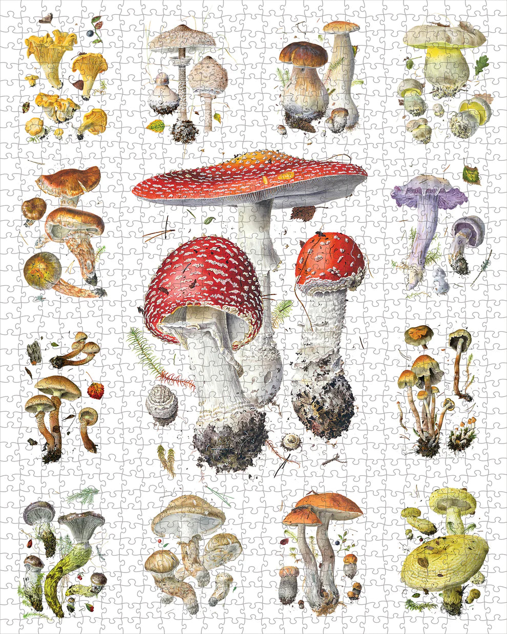 Viazmensky: Mushrooms Puzzle