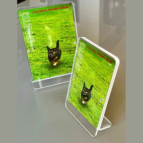 Colorful 4" x 6" Magnet Frame