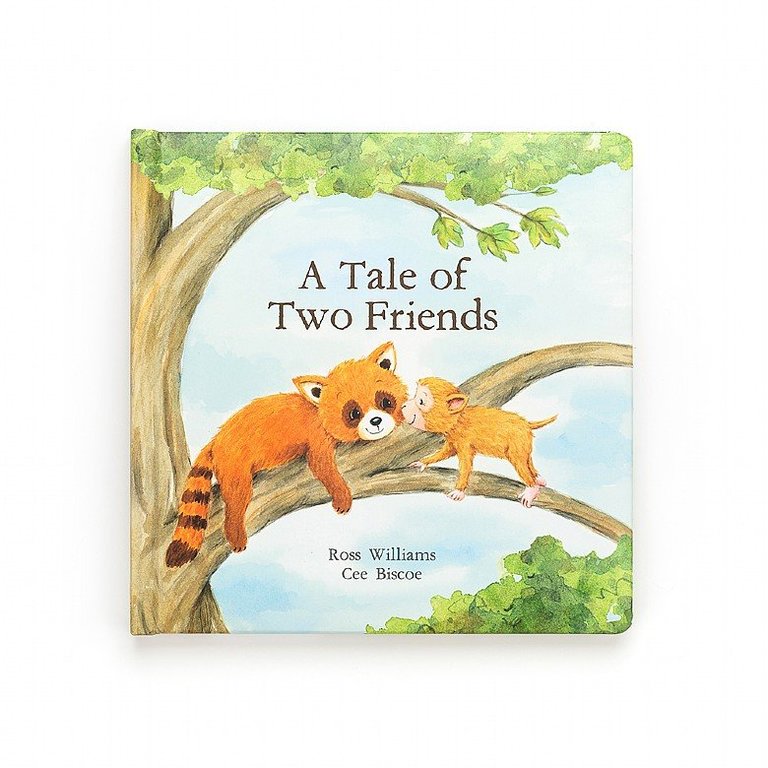 A Tale of Two Friends Book