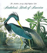 Audubon's Birds of America (Tiny Folio)