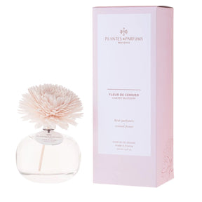 Plantes & Parfums French Scented Flower Diffuser