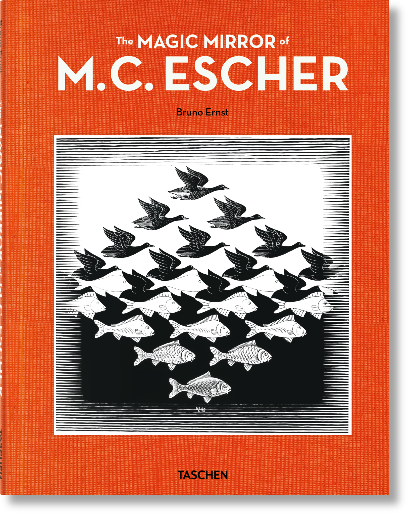 The Magic Mirror or M.C. Escher