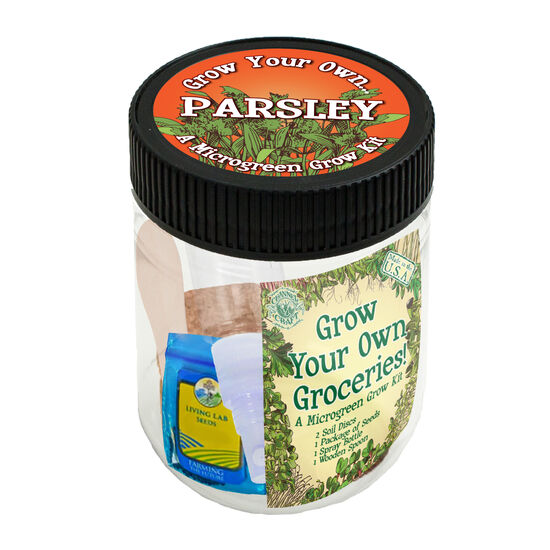 Parsley Microgreen Kit