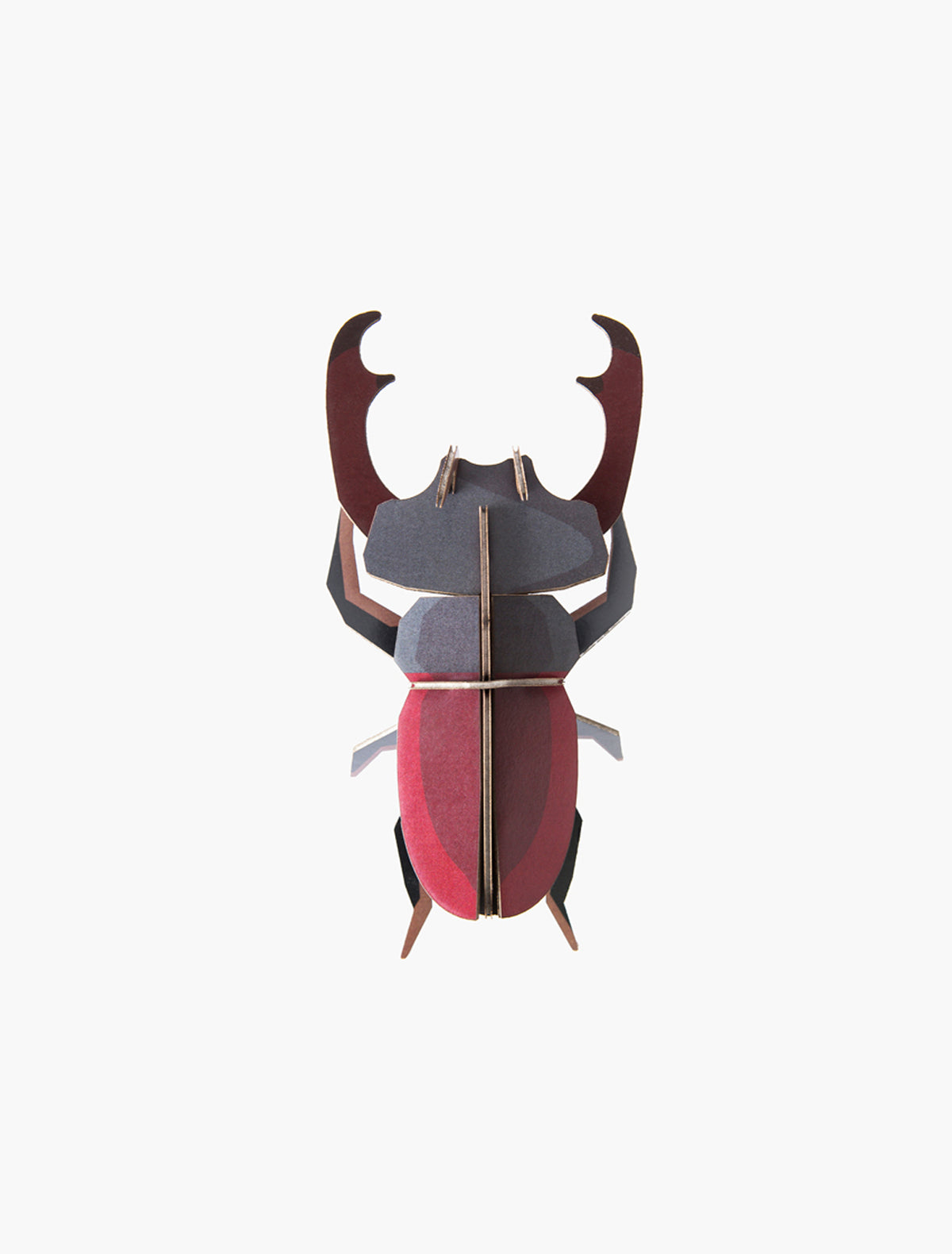 Stag Beetle (small)